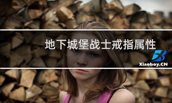 地下城堡战士戒指属性