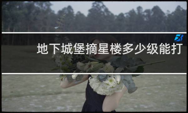 地下城堡摘星楼多少级能打