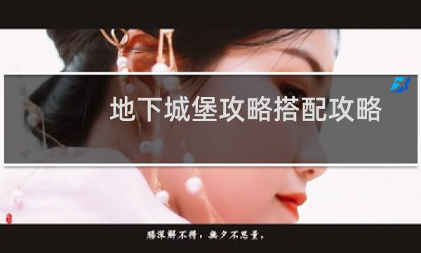地下城堡攻略搭配攻略