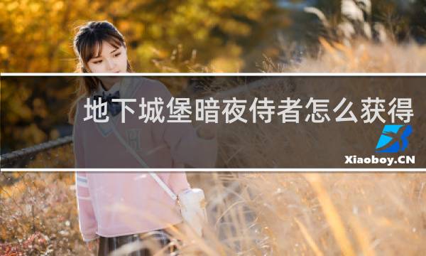 地下城堡暗夜侍者怎么获得