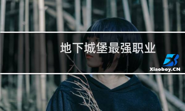 地下城堡最强职业