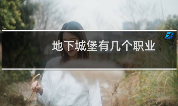 地下城堡有几个职业