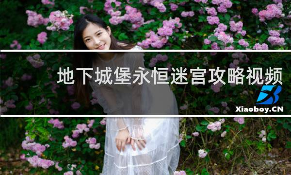 地下城堡永恒迷宫攻略视频
