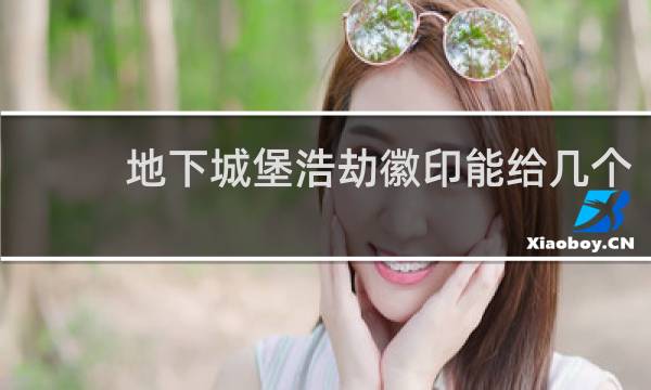 地下城堡浩劫徽印能给几个