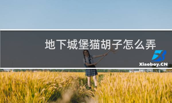 地下城堡猫胡子怎么弄