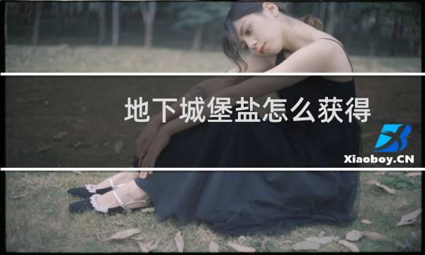 地下城堡盐怎么获得