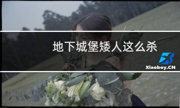 地下城堡矮人这么杀