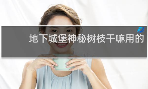 地下城堡神秘树枝干嘛用的