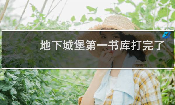 地下城堡第一书库打完了
