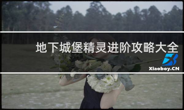 地下城堡精灵进阶攻略大全