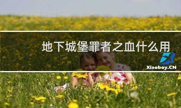 地下城堡罪者之血什么用