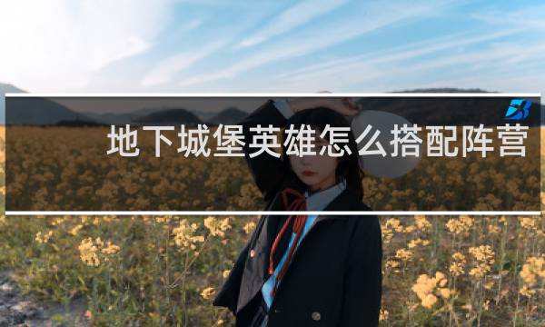 地下城堡英雄怎么搭配阵营