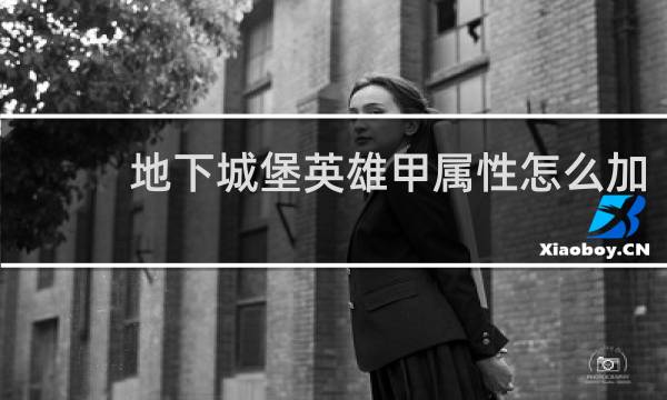 地下城堡英雄甲属性怎么加