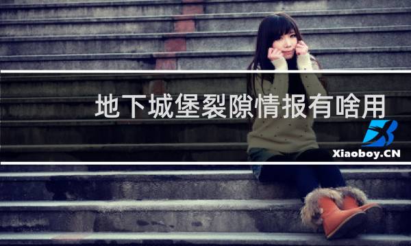 地下城堡裂隙情报有啥用