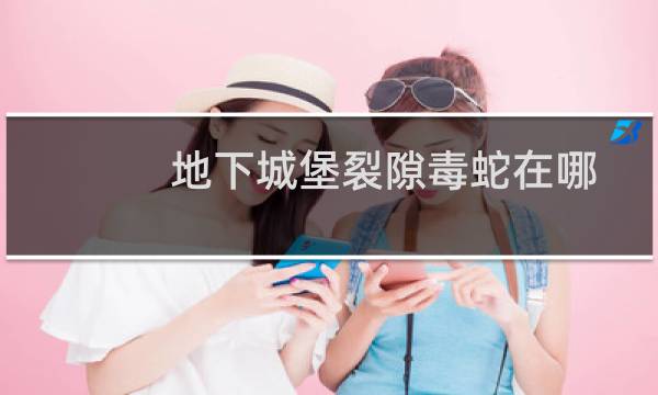 地下城堡裂隙毒蛇在哪