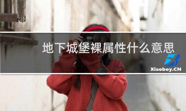 地下城堡裸属性什么意思