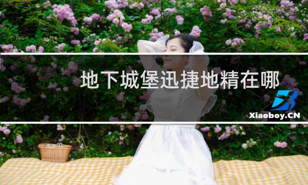 地下城堡迅捷地精在哪