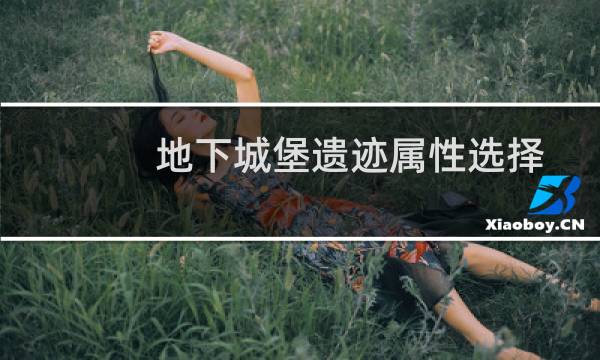 地下城堡遗迹属性选择