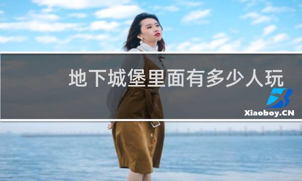 地下城堡里面有多少人玩