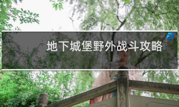地下城堡野外战斗攻略