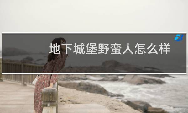地下城堡野蛮人怎么样