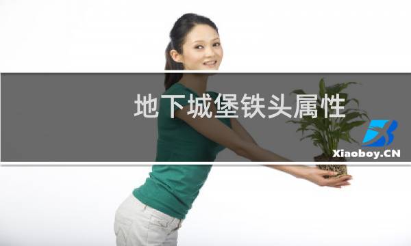 地下城堡铁头属性