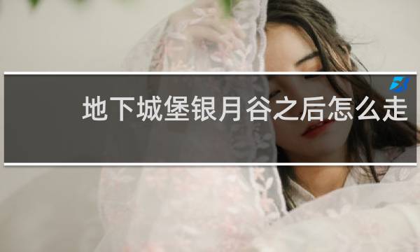 地下城堡银月谷之后怎么走