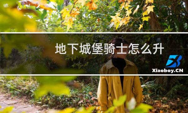 地下城堡骑士怎么升