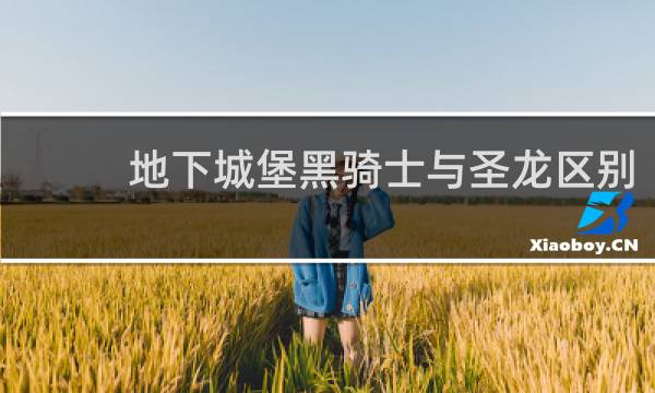 地下城堡黑骑士与圣龙区别