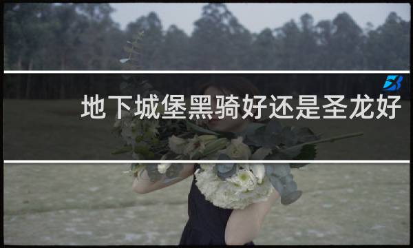 地下城堡黑骑好还是圣龙好