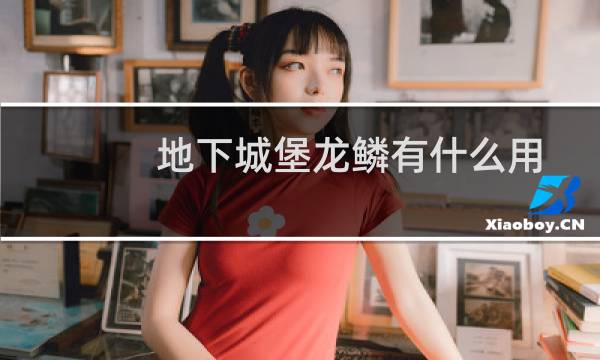 地下城堡龙鳞有什么用