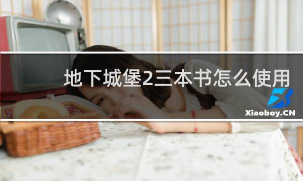 地下城堡2三本书怎么使用