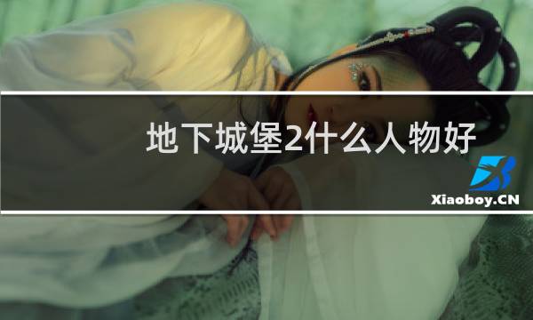 地下城堡2什么人物好