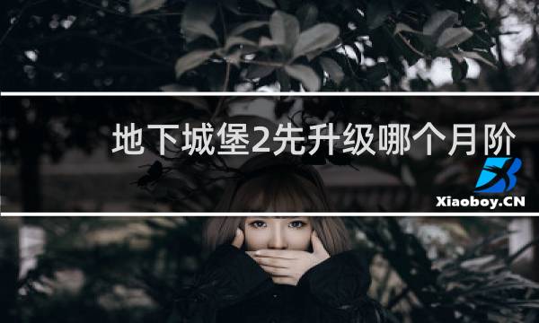 地下城堡2先升级哪个月阶