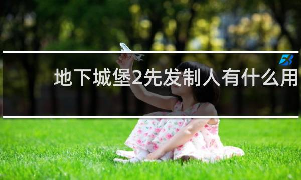 地下城堡2先发制人有什么用