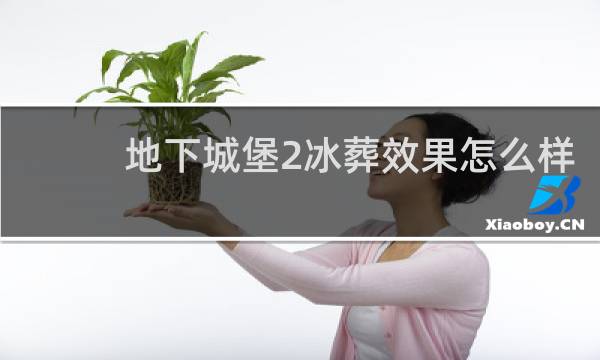 地下城堡2冰葬效果怎么样