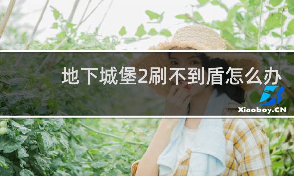 地下城堡2刷不到盾怎么办