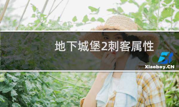 地下城堡2刺客属性