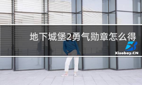 地下城堡2勇气勋章怎么得