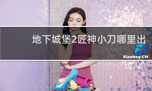 地下城堡2匠神小刀哪里出