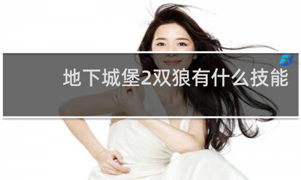 地下城堡2双狼有什么技能