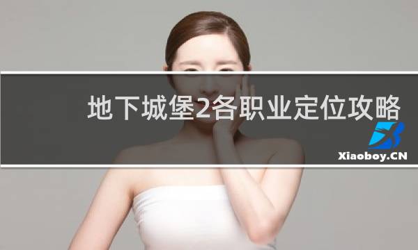 地下城堡2各职业定位攻略