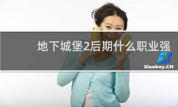 地下城堡2后期什么职业强
