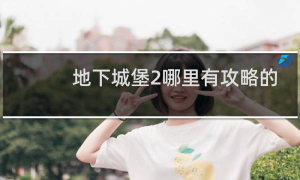 地下城堡2哪里有攻略的