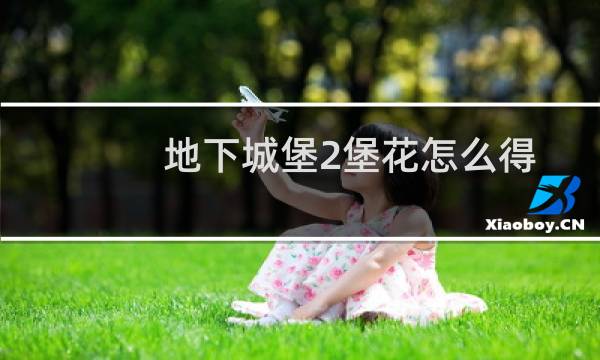 地下城堡2堡花怎么得