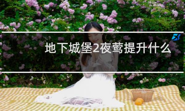 地下城堡2夜莺提升什么