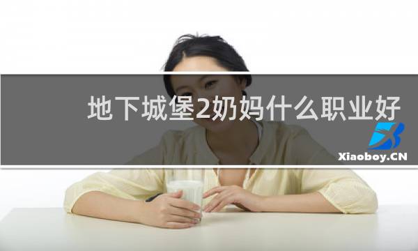 地下城堡2奶妈什么职业好