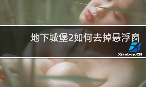 地下城堡2如何去掉悬浮窗