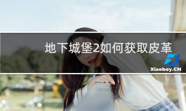 地下城堡2如何获取皮革