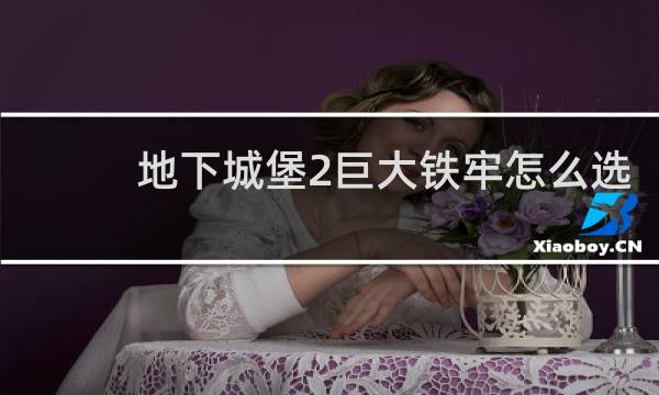 地下城堡2巨大铁牢怎么选
